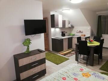 Фото номера Апартаменты-студио Апарт-отели Casa Steluta г. Сигишоара 4