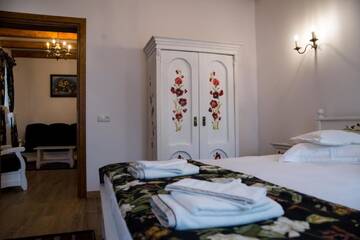 Фото номера Номер-студио с диваном-кроватью Гостевой дом Carolina House г. Сигишоара 8
