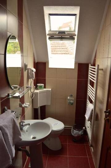 Фото номера Дом для отпуска Гостевой дом Venesis House г. Сигишоара 29